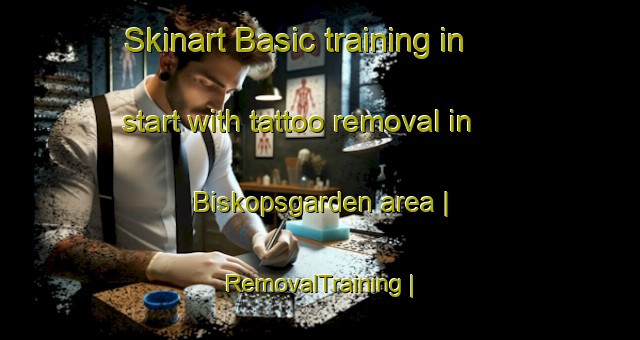 Skinart Basic training in start with tattoo removal in Biskopsgarden area | RemovalTraining | RemovalClasses | SkinartTraining-Sweden
